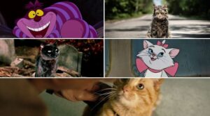 Top 10 Cats in Cinema But Why Tho