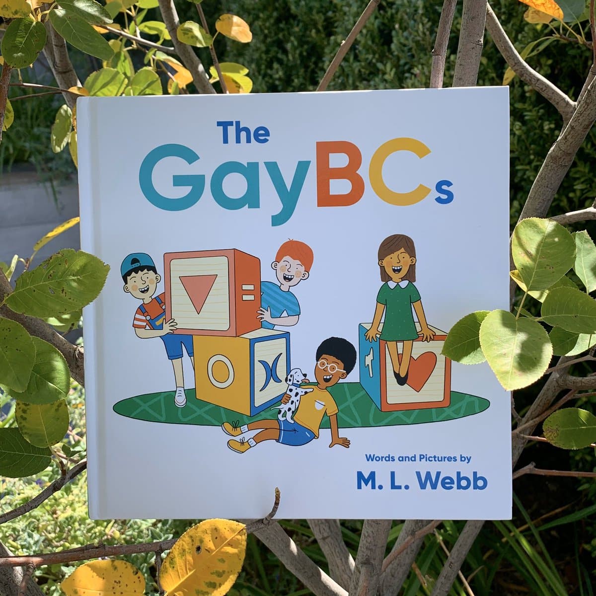 REVIEW: 'The GayBCs' From Quirk Books 1 The GayBCs