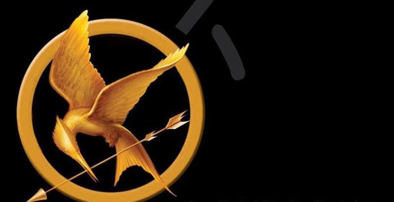 The hunger Games - But Why Tho