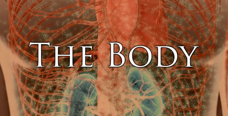 key art for The Body