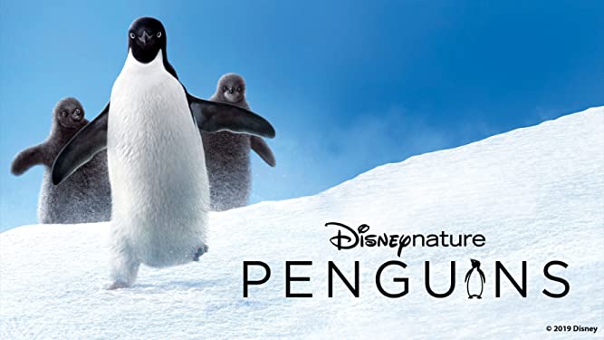 Disney Plus Documentaries - Disneynature Penguins