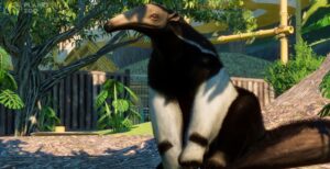 Planet Zoo South America Pack - anteater