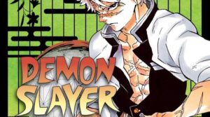 Demon Slayer Volume 17