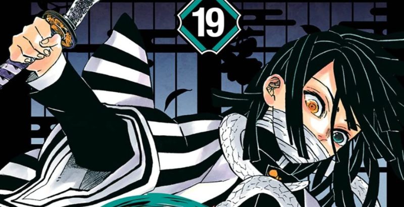 Demon Slayer Volume 19 But Why Tho