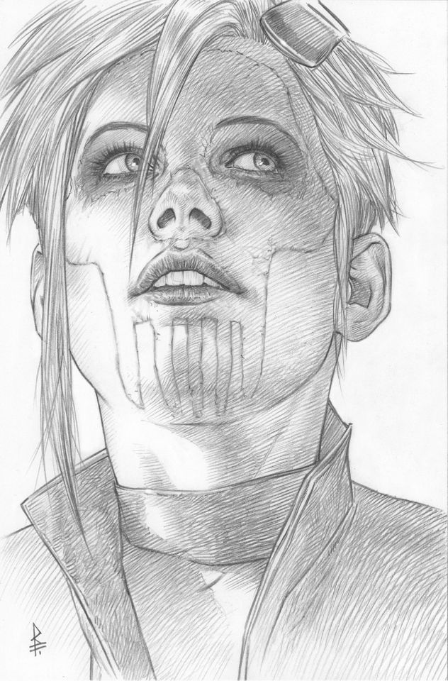 Robin