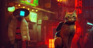 Stray