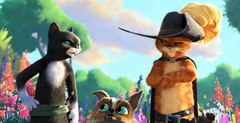 Puss in Boots Last Wish - But Why Tho