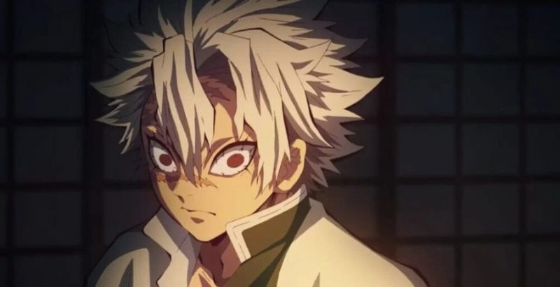 Demon Slayer Hashira