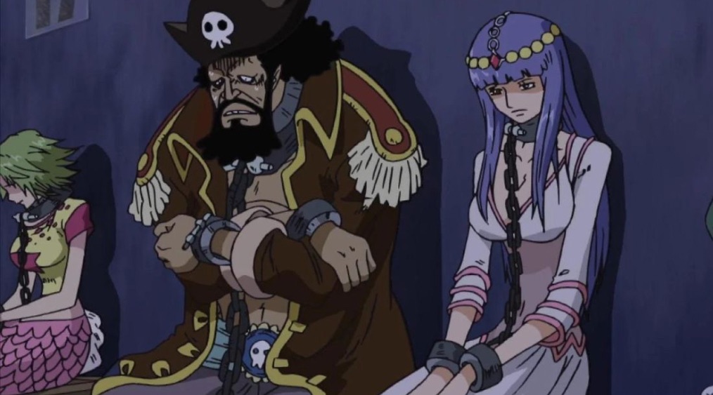 One Piece Politics