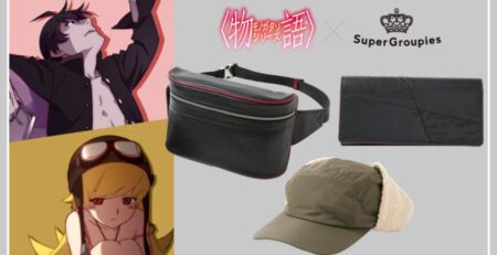 The MONOGATARI Series Collaboration Collection