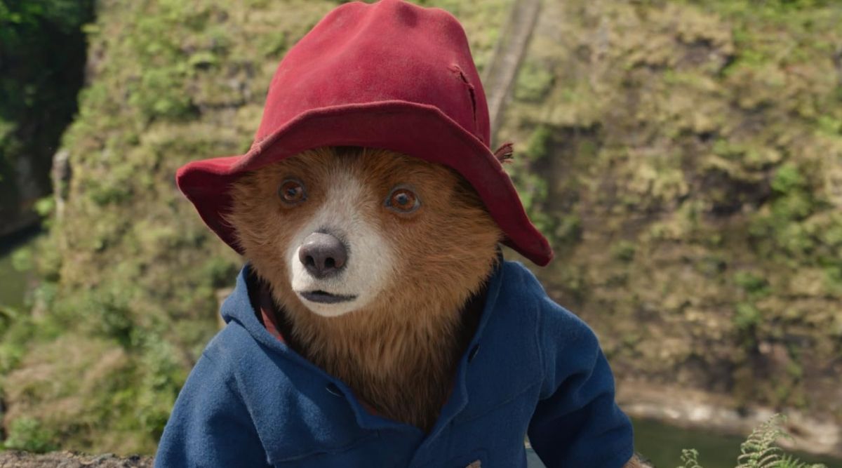 Paddington with his red hat in Paddington in Peru