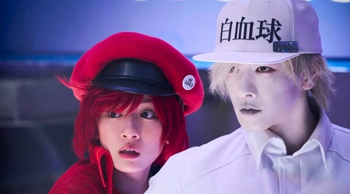 Cells at Work Red Blood Cell and White Cell