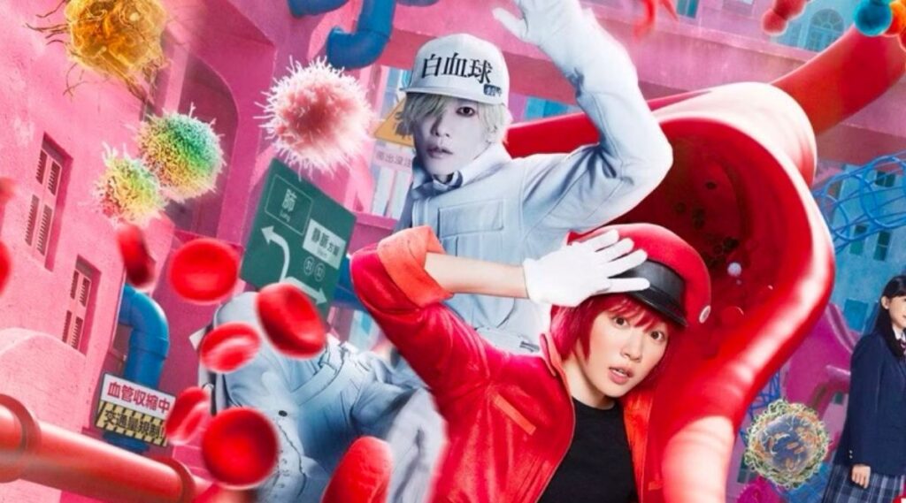 Red Blood Cell and White Cell in Cells at Work