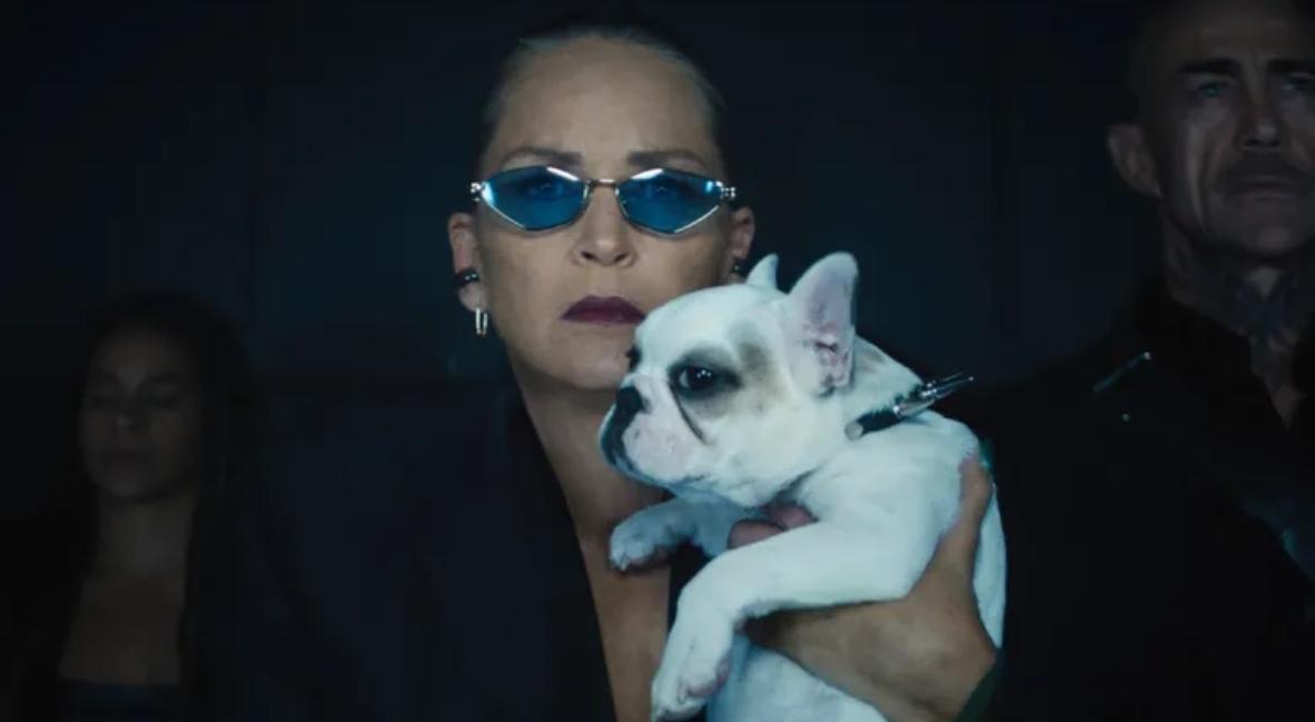 Nobody 2 promotional still with Sharon Stone
