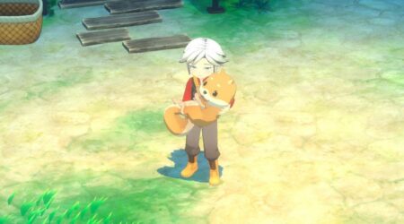 Story of Seasons Grand Bazaar But Why Tho
