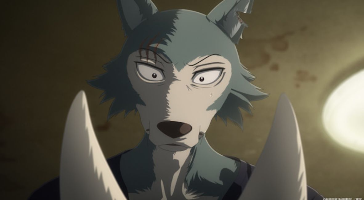 BEASTARS Final Season Part 2 promotional image from Netflix
